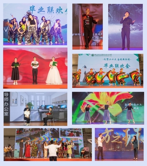 电子游戏app下载安装