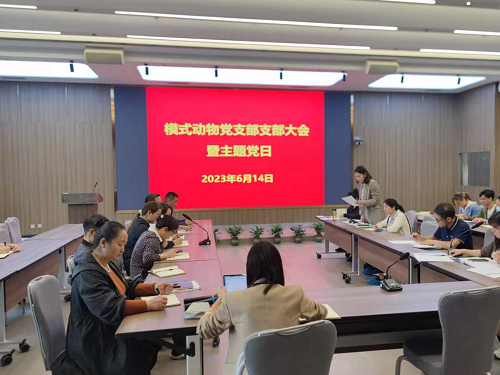 电子游戏app下载安装