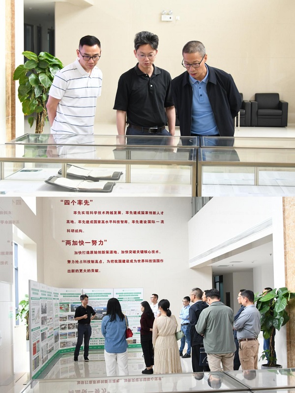 电子游戏app下载安装