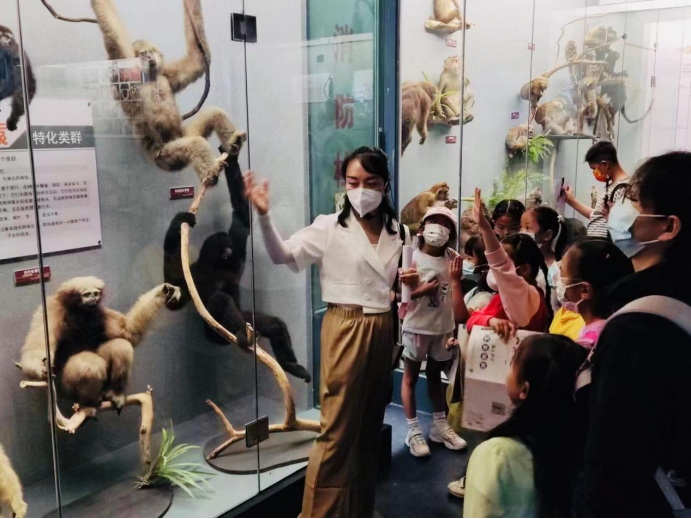 电子游戏app下载安装