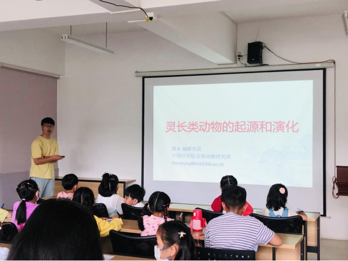 电子游戏app下载安装