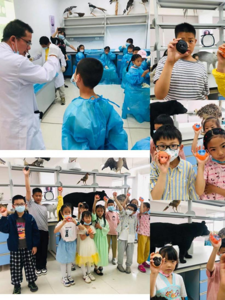 电子游戏app下载安装