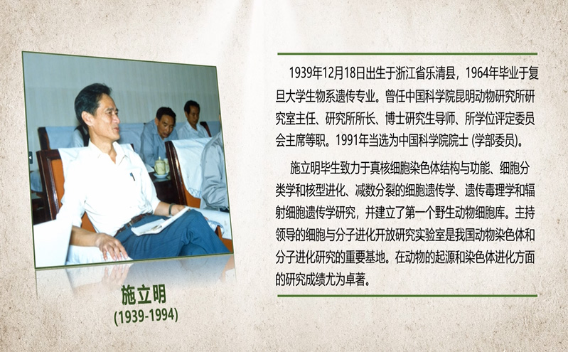 电子游戏app下载安装