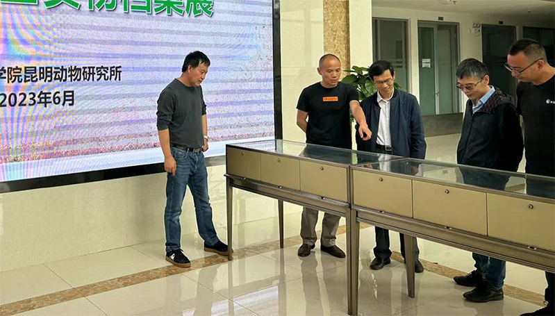 电子游戏app下载安装