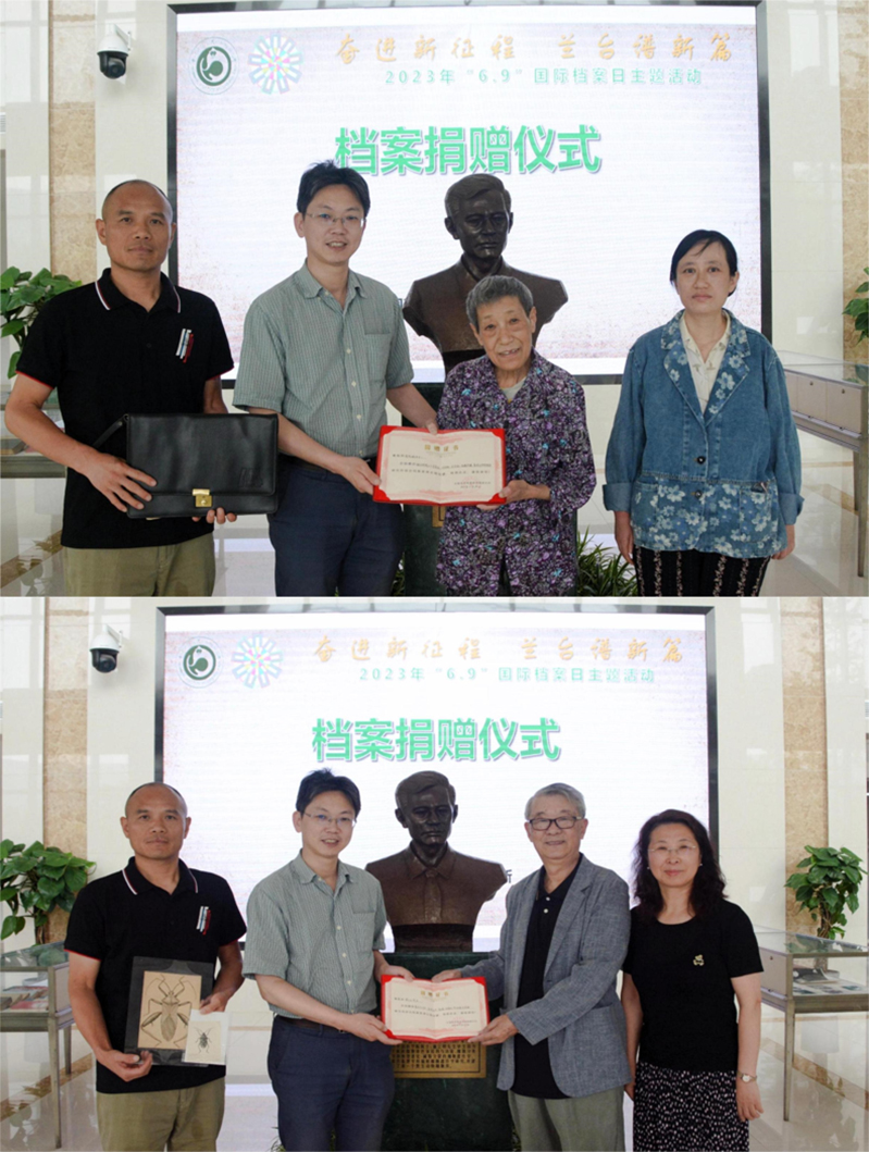 电子游戏app下载安装