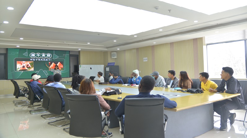 电子游戏app下载安装