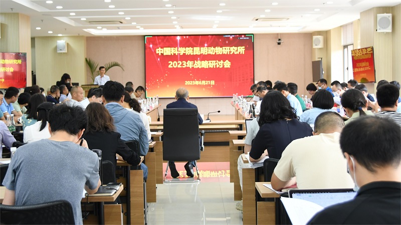 电子游戏app下载安装