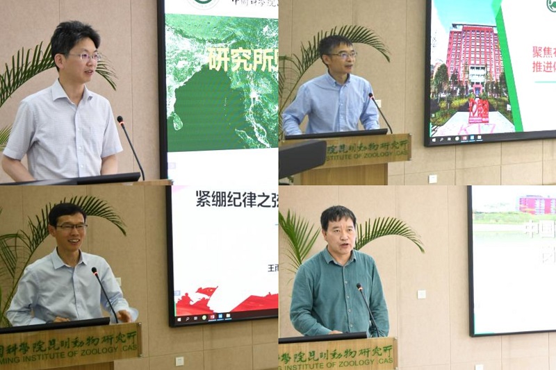 电子游戏app下载安装