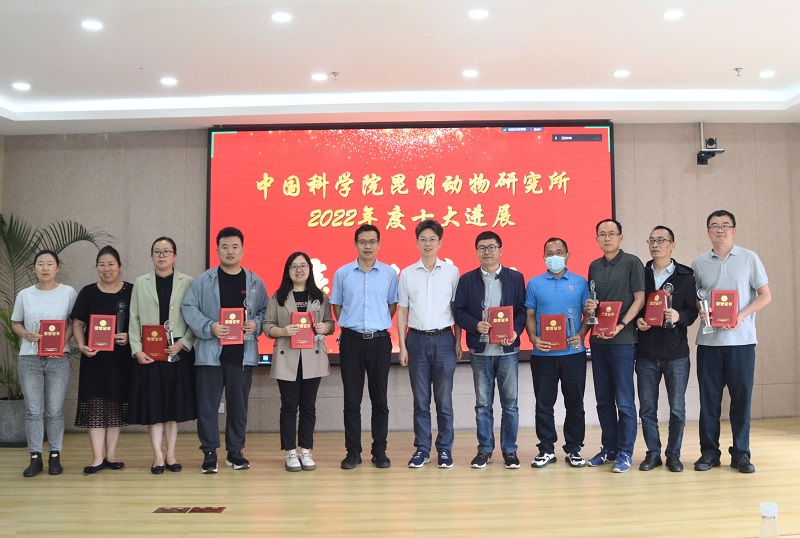 电子游戏app下载安装