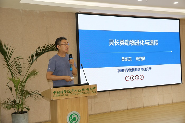 电子游戏app下载安装