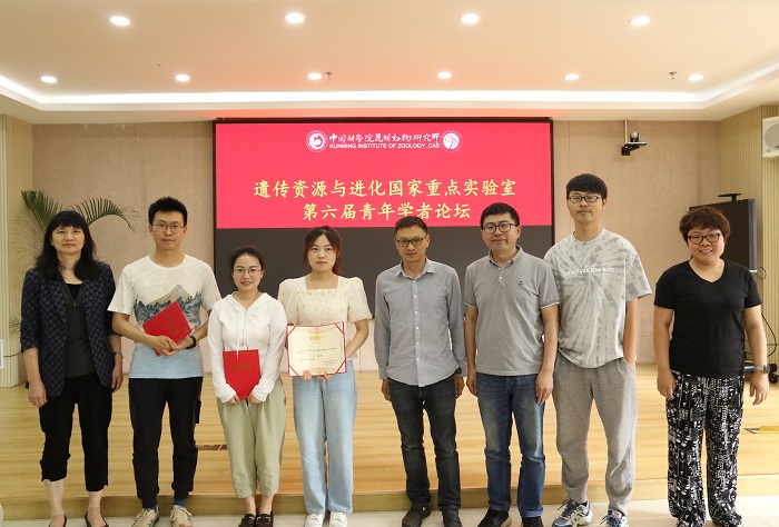 电子游戏app下载安装