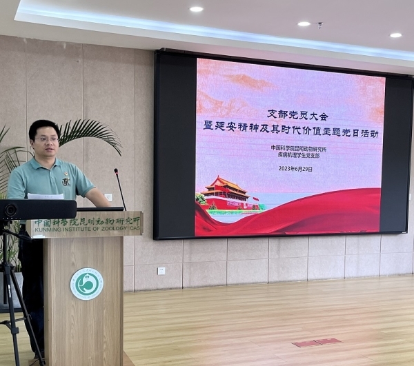 电子游戏app下载安装