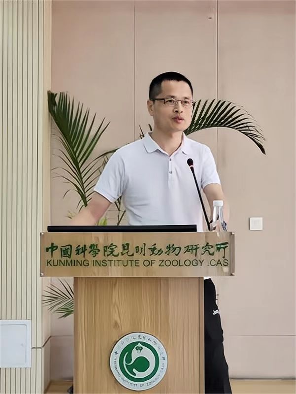 电子游戏app下载安装