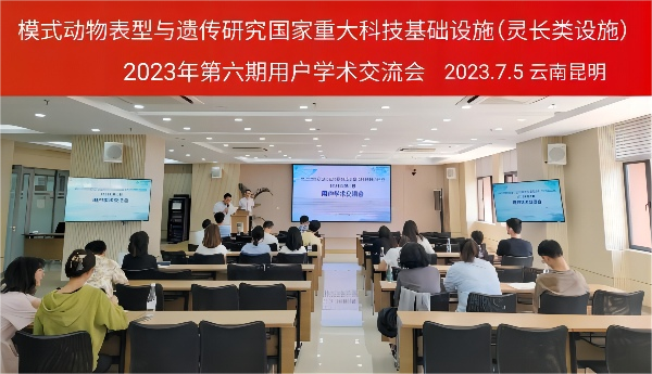 电子游戏app下载安装