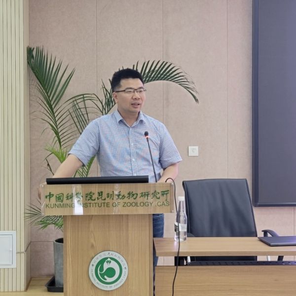 电子游戏app下载安装