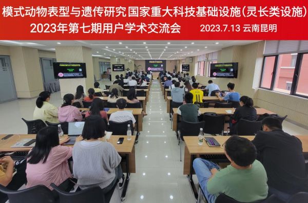 电子游戏app下载安装