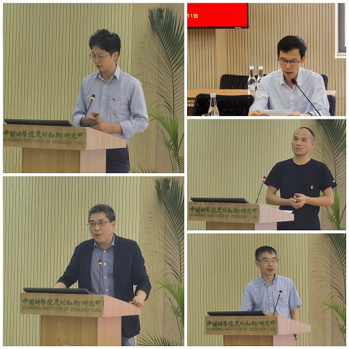 电子游戏app下载安装