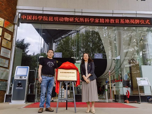 电子游戏app下载安装