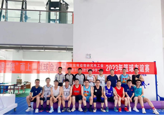 电子游戏app下载安装