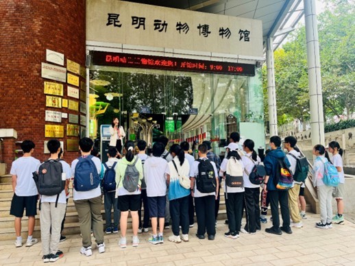 电子游戏app下载安装