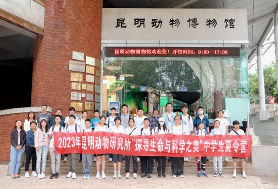 电子游戏app下载安装