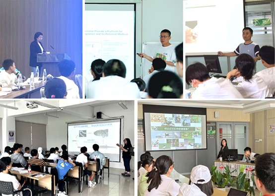 电子游戏app下载安装