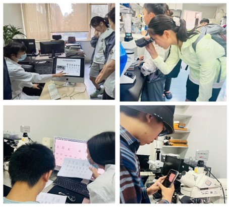 电子游戏app下载安装