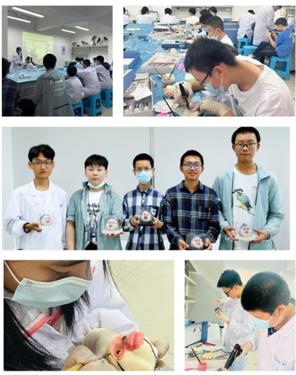 电子游戏app下载安装