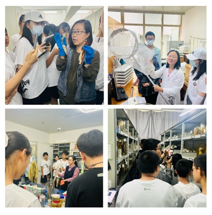 电子游戏app下载安装