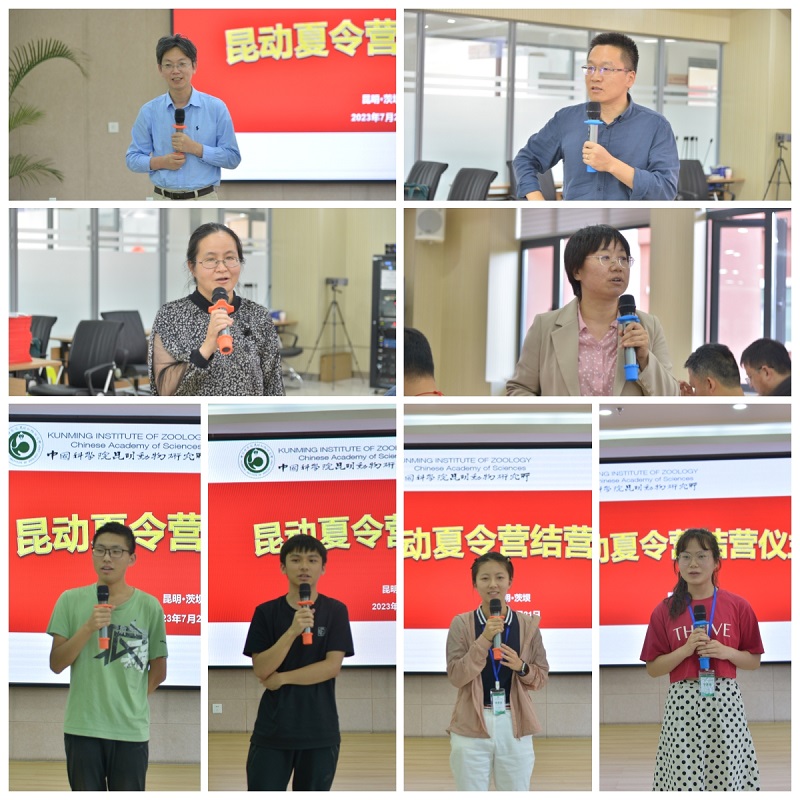 电子游戏app下载安装