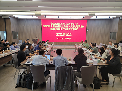 电子游戏app下载安装