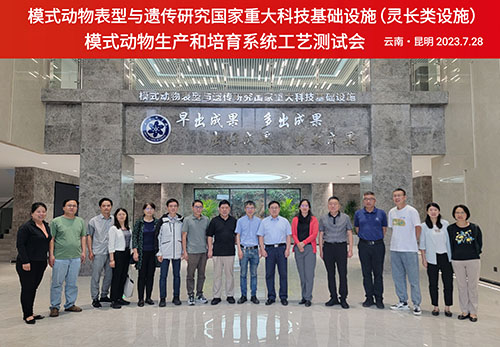 电子游戏app下载安装