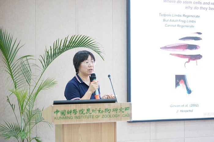 电子游戏app下载安装