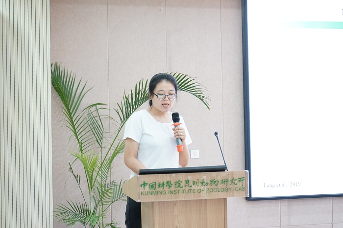 电子游戏app下载安装