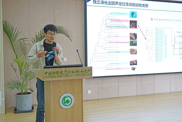 电子游戏app下载安装