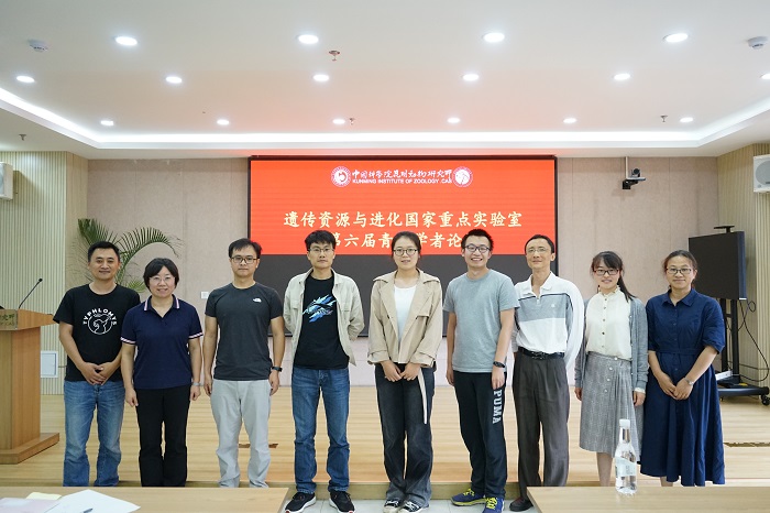 电子游戏app下载安装