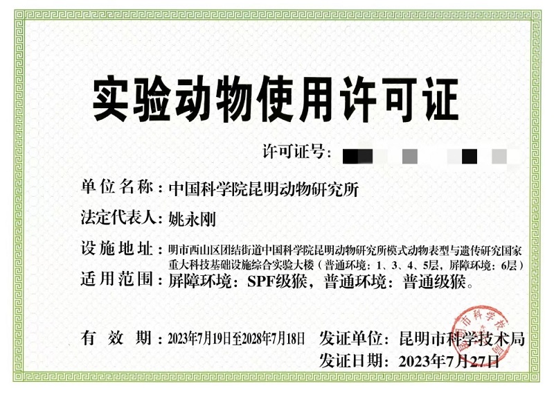 电子游戏app下载安装