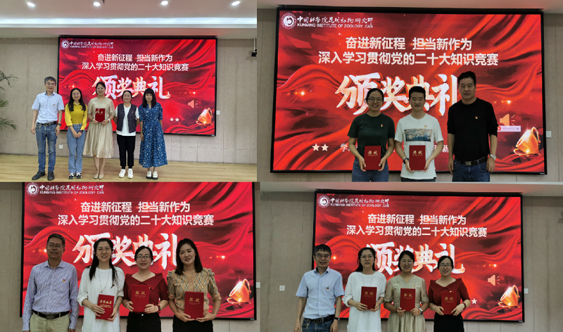 电子游戏app下载安装