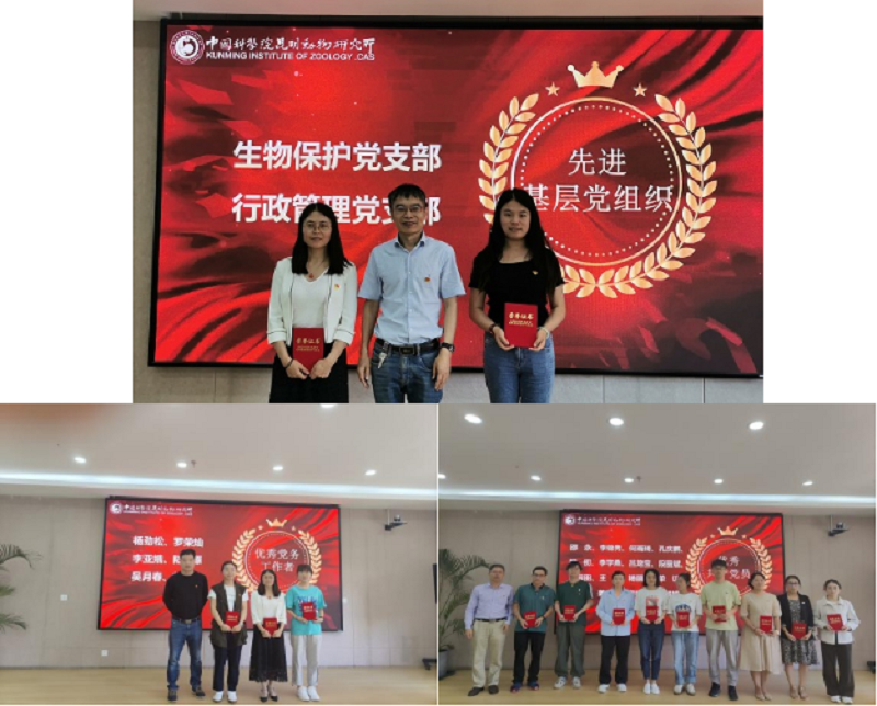 电子游戏app下载安装