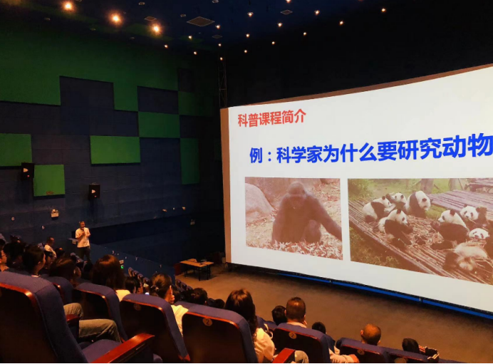 电子游戏app下载安装