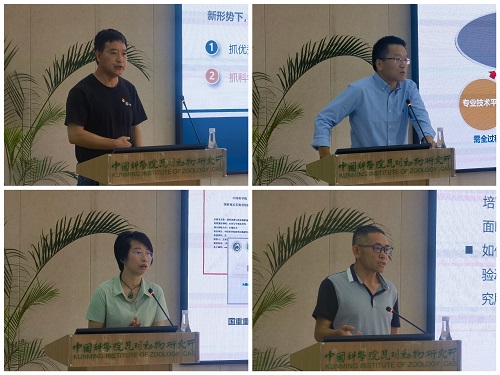 电子游戏app下载安装