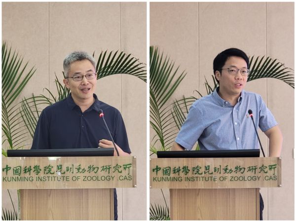 电子游戏app下载安装