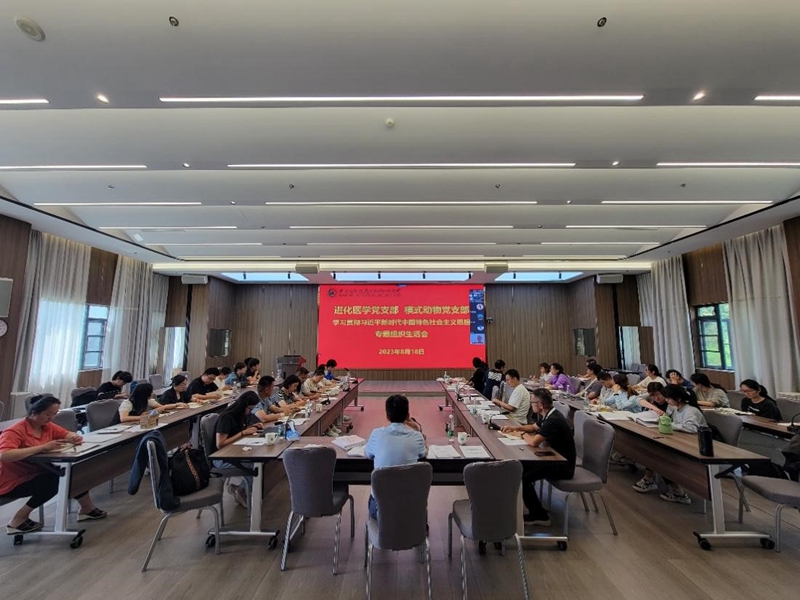 电子游戏app下载安装