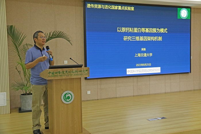 电子游戏app下载安装