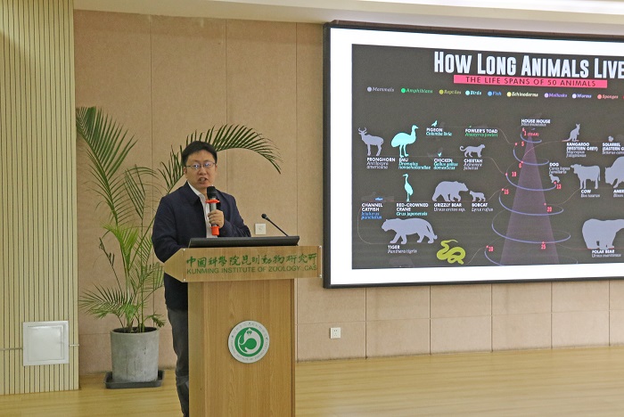 电子游戏app下载安装