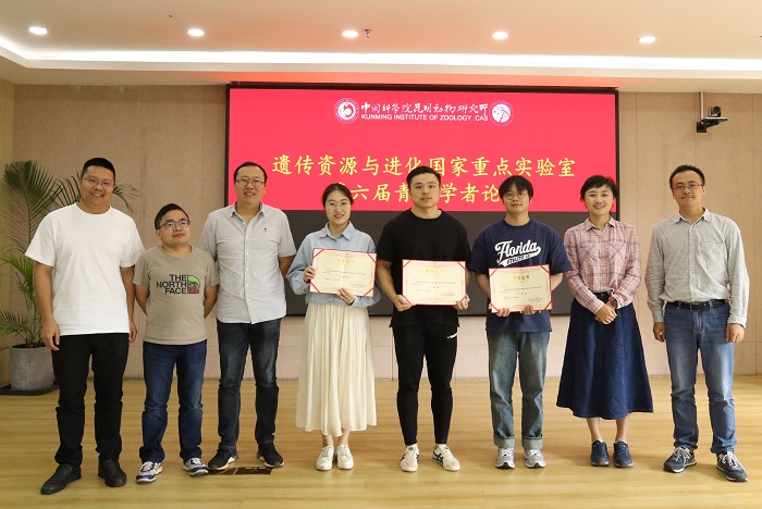 电子游戏app下载安装