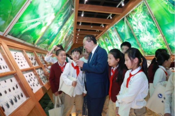 电子游戏app下载安装