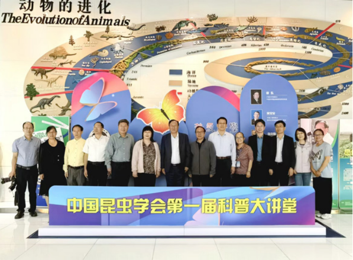 电子游戏app下载安装