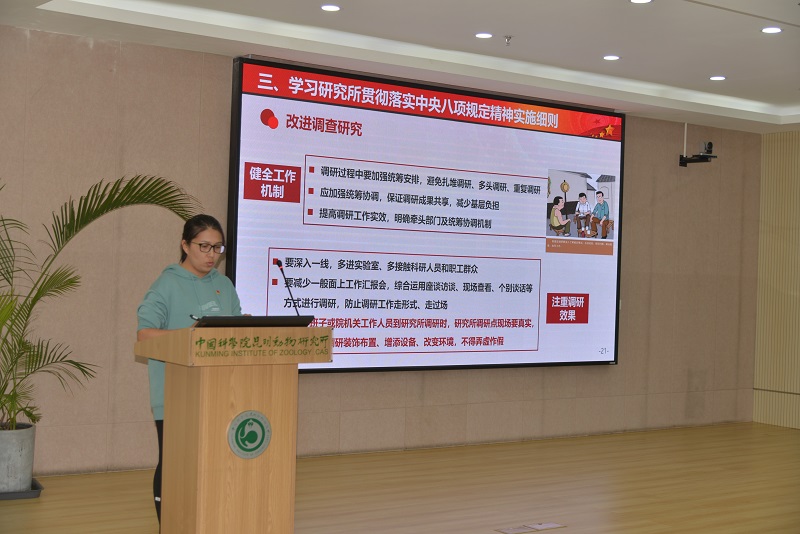 电子游戏app下载安装