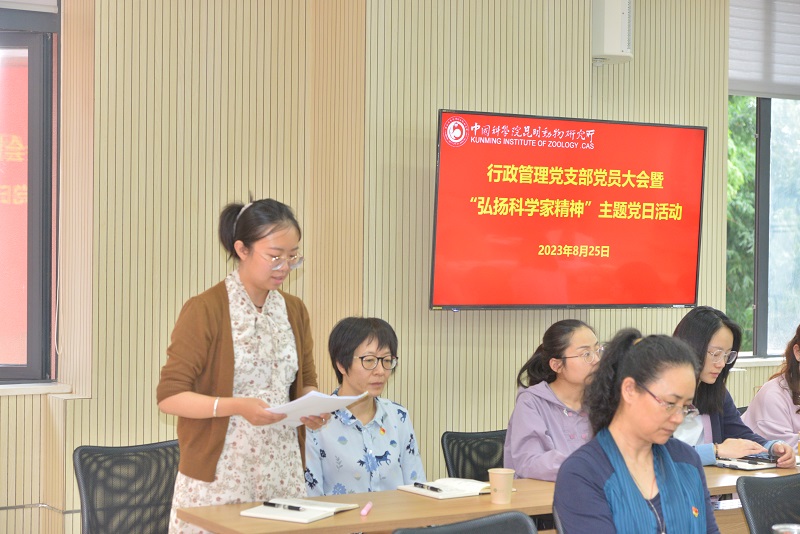 电子游戏app下载安装